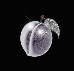 PLUMS